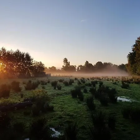Pipowagens Bij Pannenkoekenrestaurant & Camping De Koppenjan 'Een Uniek Verblijf Met Kinderspeelboerderij' Jubbega-Schurega Exterior foto