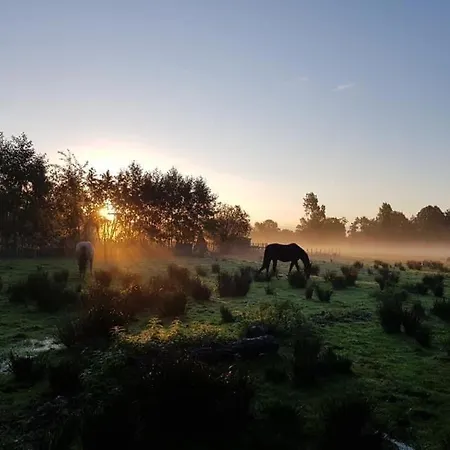 Pipowagens Bij Pannenkoekenrestaurant & Camping De Koppenjan 'Een Uniek Verblijf Met Kinderspeelboerderij' Jubbega-Schurega Exterior foto