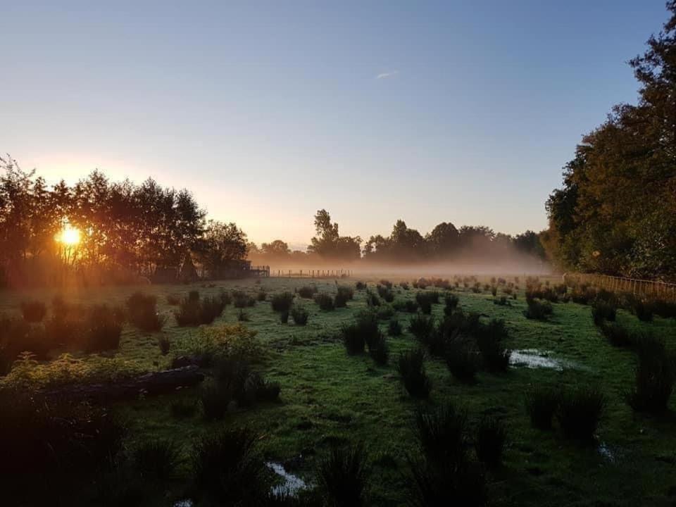 Campsite Pipowagens Bij De Koppenjan: Unique With Pancake Restaurant *