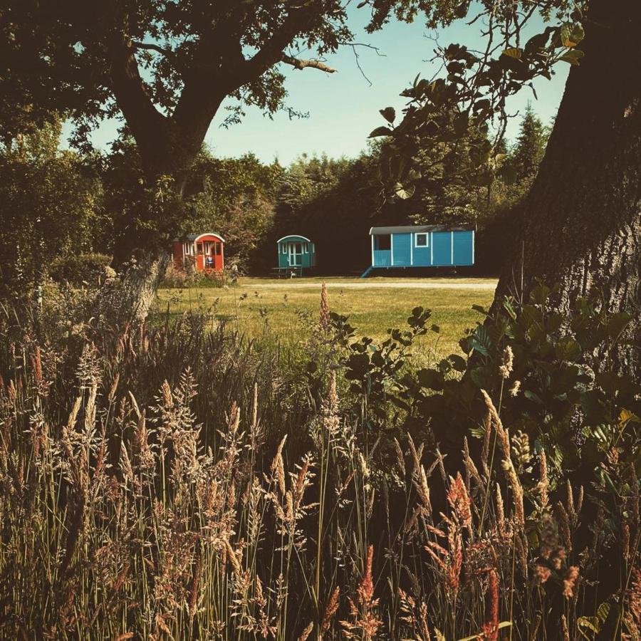 Pipowagens Bij De Koppenjan: Unique With Pancake Restaurant Campsite *