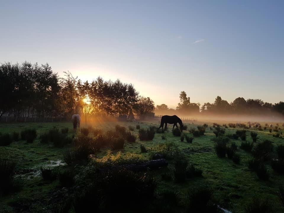 Pipowagens Bij De Koppenjan: Unique With Pancake Restaurant