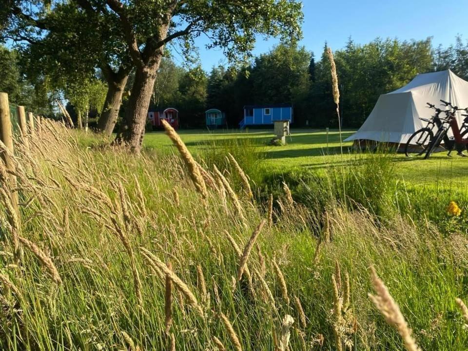 Campsite Pipowagens Bij De Koppenjan: Unique With Pancake Restaurant Jubbega-Schurega